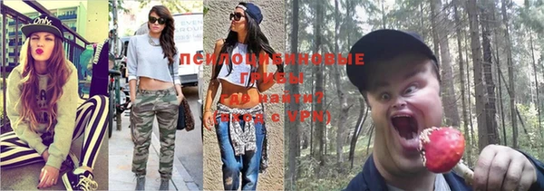 гидра Бугульма