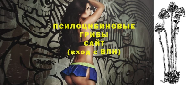 гидра Бугульма