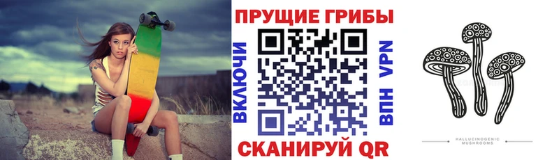 Псилоцибиновые грибы мицелий  Каменск-Шахтинский 