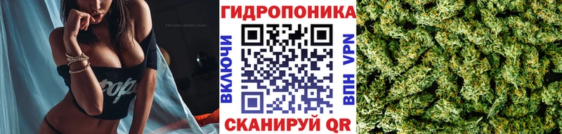 дарнет шоп OMG ТОР Канабис ГИДРОПОН Каменск-Шахтинский